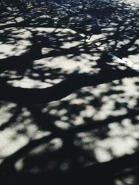 High angle view of shadow on ground