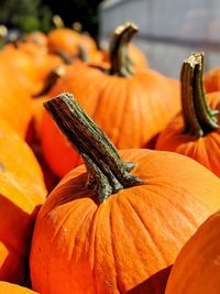 Pumpkins piled