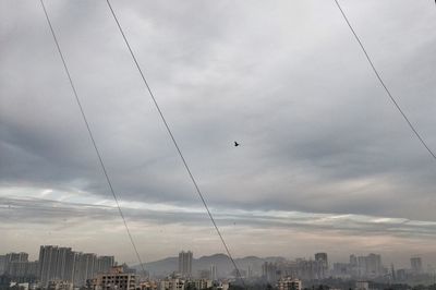 Low angle view of birds flying over city against sky