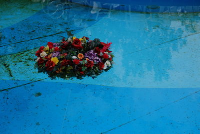 Close-up of red flowers