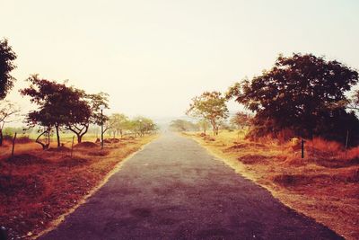 Road amidst trees against clear sky