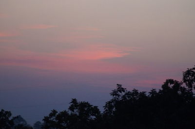 Low angle view of silhouette trees against sky during sunset