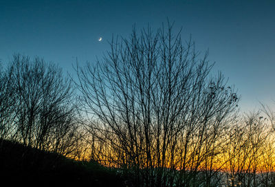 Low angle view of silhouette bare trees against blue sky