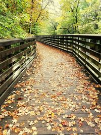 Footbridge over footpath during autumn