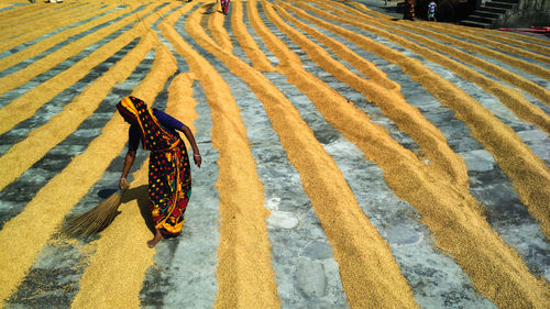 High angle view of women sweeping on land