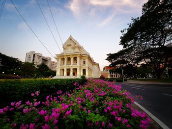 View of flowering plants in front of building