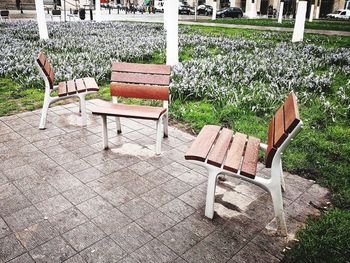 Empty bench in park