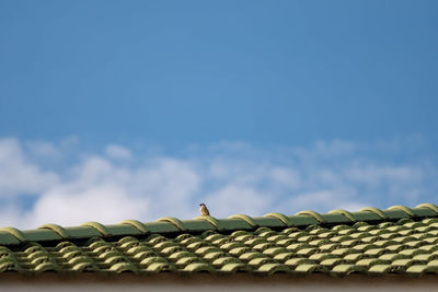 Low angle view of roof tiles against sky