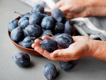 Close-up of hand holding berries