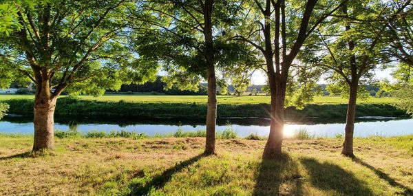 Scenic view of lake amidst trees