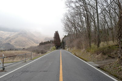 Empty road along trees