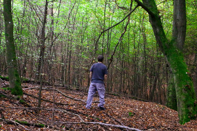 Rear view of man in forest