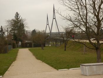 Empty footpath amidst trees