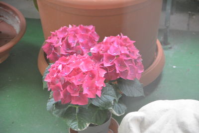 pink