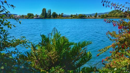 Scenic view of lake against blue sky