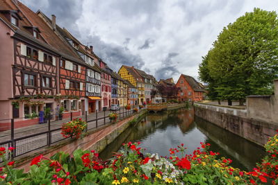 Colmar city, houses and street by day, france