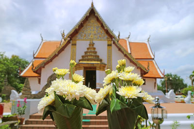 Flower bouquets for offering lord buddha with wat phumin temple, nan province, thailand