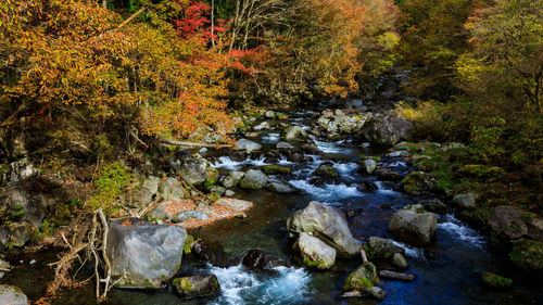 Stream flowing through rocks in forest during autumn