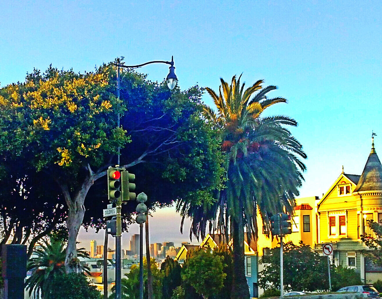 clear sky, building exterior, palm tree, tree, built structure, architecture, growth, low angle view, street light, blue, house, copy space, plant, car, outdoors, sunlight, residential building, nature, transportation, yellow