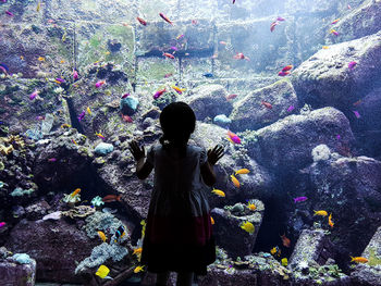 Rear view of woman standing against multi colored water