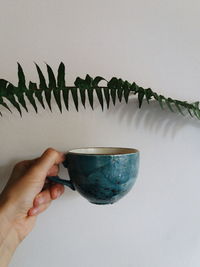 Close-up of hand holding glass over white background