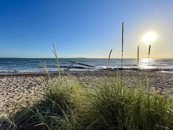 Scenic view of sea against clear sky