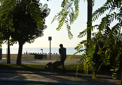 Silhouette man cutting grass with lawn mower at park