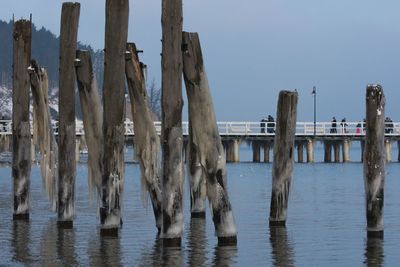 Panoramic view of lake