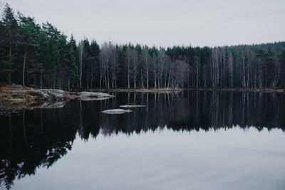 Scenic view of lake by trees against sky