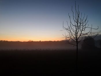 Silhouette bare tree against sky during sunset