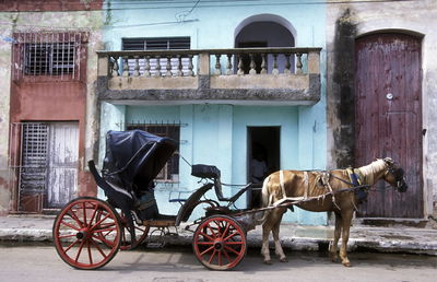 Horse cart outside buildings