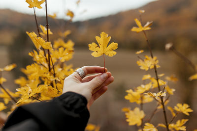 Cropped hand of woman holding yellow flower