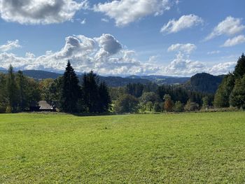 Scenic view of field against sky