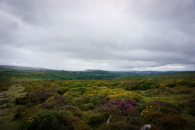 Scenic view of landscape against sky