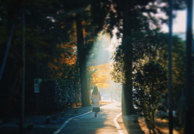 Woman walking by trees in forest against sky