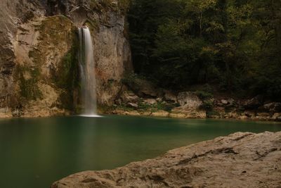 Scenic view of waterfall in forest