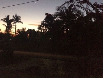 Silhouette palm trees at sunset