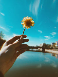 Close-up of hand holding dandelion over lake against sky