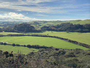 landscape
