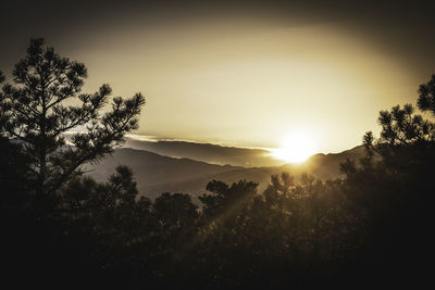Scenic view of sunset
