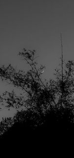 Low angle view of silhouette trees against sky at dusk