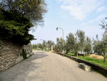 Empty road amidst trees against sky in city