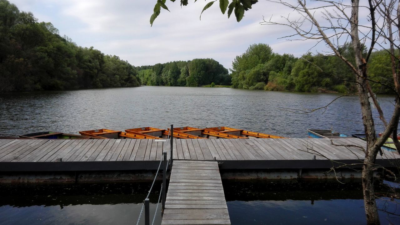 LAKE BY TREES AGAINST SKY