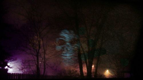 Low angle view of bare trees at night