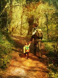 Rear view of men walking in forest