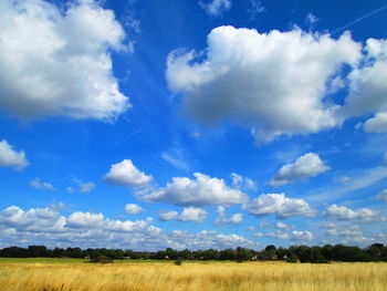 Scenic view of field against blue sky