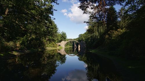 Scenic view of lake amidst trees against sky