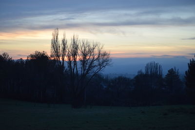 Silhouette trees against sky at sunset