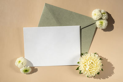 High angle view of flowers on table