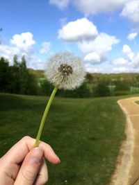 Close-up of hand holding flower against the sky